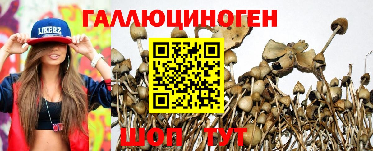 Протвино  где найти   Вход с VPN  Галлюциногенные грибы мухоморы 