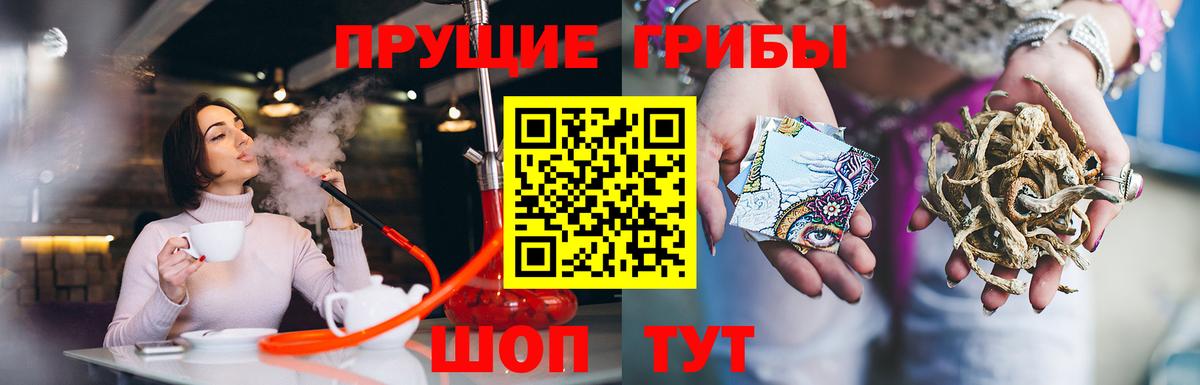 Галлюциногенные грибы GOLDEN TEACHER Протвино